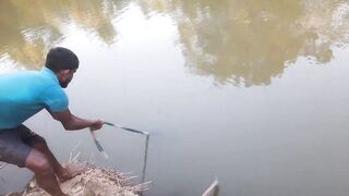 Ловля крупного rohu в реке Kirindi Oya традиционная рыбалка сетью на Шри-Ланке