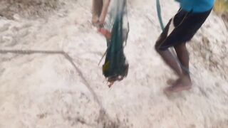 Ловля крупного rohu в реке Kirindi Oya традиционная рыбалка сетью на Шри-Ланке