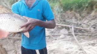 Ловля крупного rohu в реке Kirindi Oya традиционная рыбалка сетью на Шри-Ланке