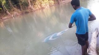 Ловля крупного rohu в реке Kirindi Oya традиционная рыбалка сетью на Шри-Ланке