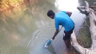 Ловля крупного rohu в реке Kirindi Oya традиционная рыбалка сетью на Шри-Ланке