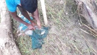 Ловля крупного rohu в реке Kirindi Oya традиционная рыбалка сетью на Шри-Ланке