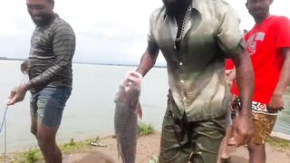 Крупная рыба рвёт сети озёрная рыбалка на Шри-Ланке охота за ctala и rohu