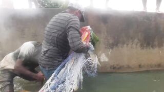 Крупная рыба рвёт сети озёрная рыбалка на Шри-Ланке охота за ctala и rohu