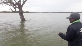 Крупная рыба рвёт сети озёрная рыбалка на Шри-Ланке охота за ctala и rohu