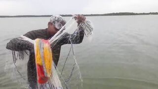 Крупная рыба рвёт сети озёрная рыбалка на Шри-Ланке охота за ctala и rohu