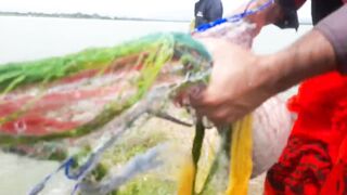 Крупная рыба рвёт сети озёрная рыбалка на Шри-Ланке охота за ctala и rohu