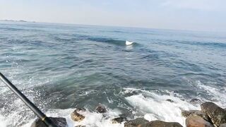 Рыбалка с рыболовного молла в Хиккадуве морская рыбалка на Шри-Ланке в 2024 году