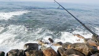 Рыбалка с рыболовного молла в Хиккадуве морская рыбалка на Шри-Ланке в 2024 году