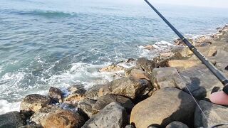 Рыбалка с рыболовного молла в Хиккадуве морская рыбалка на Шри-Ланке в 2024 году