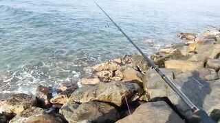 Рыбалка с рыболовного молла в Хиккадуве морская рыбалка на Шри-Ланке в 2024 году