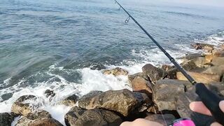 Рыбалка с рыболовного молла в Хиккадуве морская рыбалка на Шри-Ланке в 2024 году