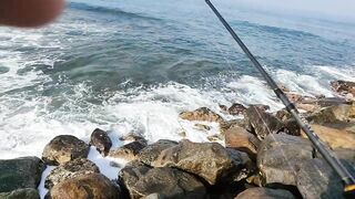 Рыбалка с рыболовного молла в Хиккадуве морская рыбалка на Шри-Ланке в 2024 году