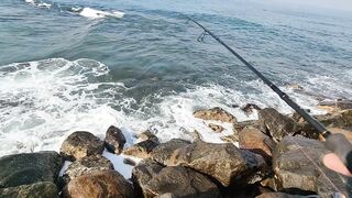 Рыбалка с рыболовного молла в Хиккадуве морская рыбалка на Шри-Ланке в 2024 году