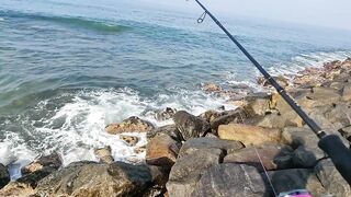 Рыбалка с рыболовного молла в Хиккадуве морская рыбалка на Шри-Ланке в 2024 году