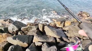 Рыбалка с рыболовного молла в Хиккадуве морская рыбалка на Шри-Ланке в 2024 году