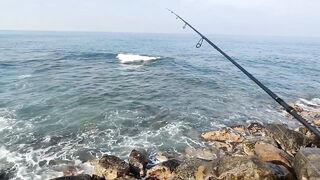 Рыбалка с рыболовного молла в Хиккадуве морская рыбалка на Шри-Ланке в 2024 году