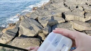 Рыбалка с рыболовного молла в Хиккадуве морская рыбалка на Шри-Ланке в 2024 году