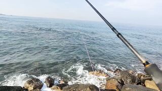 Рыбалка с рыболовного молла в Хиккадуве морская рыбалка на Шри-Ланке в 2024 году