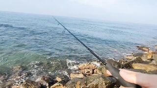 Рыбалка с рыболовного молла в Хиккадуве морская рыбалка на Шри-Ланке в 2024 году