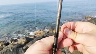 Рыбалка с рыболовного молла в Хиккадуве морская рыбалка на Шри-Ланке в 2024 году