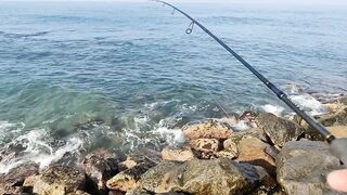 Рыбалка с рыболовного молла в Хиккадуве морская рыбалка на Шри-Ланке в 2024 году