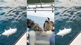 GT ломает два спиннинга морская рыбалка на Шри-Ланке и жёсткая схватка в Хиккадуве