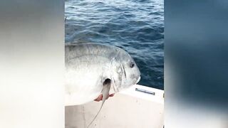 GT ломает два спиннинга морская рыбалка на Шри-Ланке и жёсткая схватка в Хиккадуве