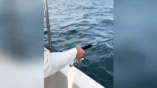 GT ломает два спиннинга морская рыбалка на Шри-Ланке и жёсткая схватка в Хиккадуве