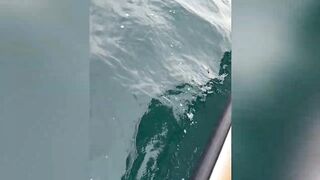 GT ломает два спиннинга морская рыбалка на Шри-Ланке и жёсткая схватка в Хиккадуве