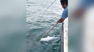 GT ломает два спиннинга морская рыбалка на Шри-Ланке и жёсткая схватка в Хиккадуве