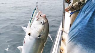 GT ломает два спиннинга морская рыбалка на Шри-Ланке и жёсткая схватка в Хиккадуве