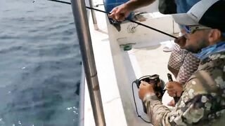 GT ломает два спиннинга морская рыбалка на Шри-Ланке и жёсткая схватка в Хиккадуве