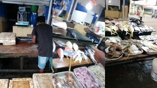 Вот это рыбина Хиккадува Шри-Ланка трофейный улов прямо у берега Индийского океана