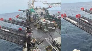 Роботы для ловли кальмара морская электроника на службе рыбалки будущего