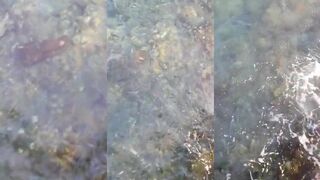 Посмотрите сколько рыбы на пляже Марса-Алам египетский берег усыпан живым серебром