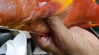 Удачная морская рыбалка в Марса-Алам трофеи из Красного моря и улыбки на борту