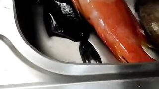 Удачная морская рыбалка в Марса-Алам трофеи из Красного моря и улыбки на борту