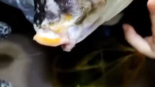 Удачная морская рыбалка в Марса-Алам трофеи из Красного моря и улыбки на борту