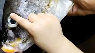 Удачная морская рыбалка в Марса-Алам трофеи из Красного моря и улыбки на борту