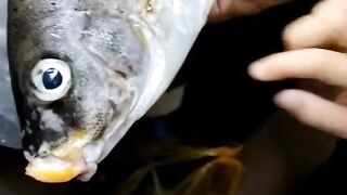 Удачная морская рыбалка в Марса-Алам трофеи из Красного моря и улыбки на борту