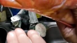 Удачная морская рыбалка в Марса-Алам трофеи из Красного моря и улыбки на борту