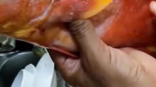 Удачная морская рыбалка в Марса-Алам трофеи из Красного моря и улыбки на борту