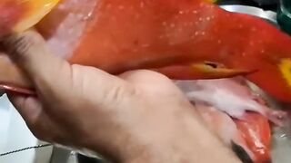 Удачная морская рыбалка в Марса-Алам трофеи из Красного моря и улыбки на борту