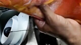 Удачная морская рыбалка в Марса-Алам трофеи из Красного моря и улыбки на борту