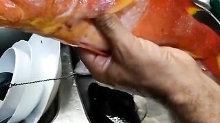 Удачная морская рыбалка в Марса-Алам трофеи из Красного моря и улыбки на борту