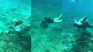 Марса Алам Египет новый взгляд на курорт и морская рыбалка в Красном море