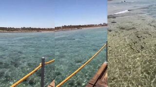 Здесь больше всего морских жителей где найти лучший спот для морской рыбалки в этом районе