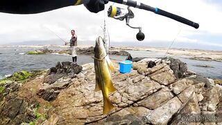 Mirbat Oman, рыбалка и разведка новых точек у берега