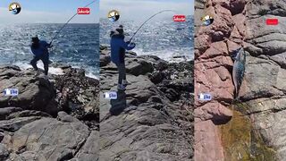 KAWA KAWA FISH что это за рыба и где ее ловят?